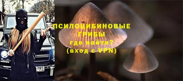 mix Нея