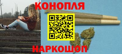 бошки Кингисепп