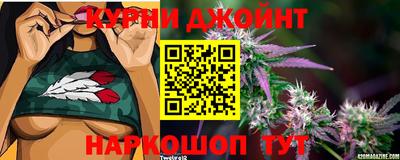 бошки Кингисепп