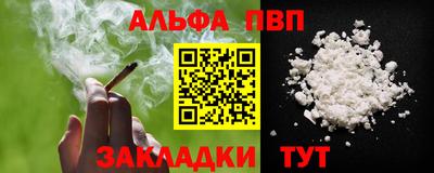 бошки Кингисепп