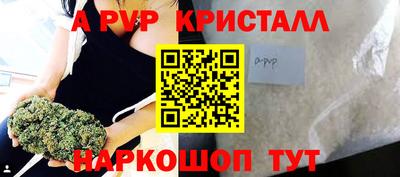 бошки Кингисепп