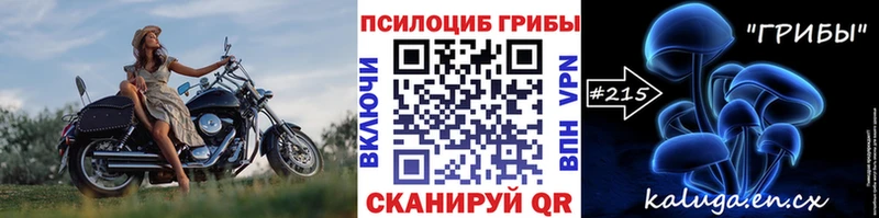 Галлюциногенные грибы мицелий  цена наркотик  Минусинск 
