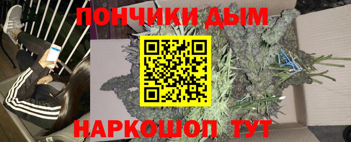 Лсд 25 Минусинск